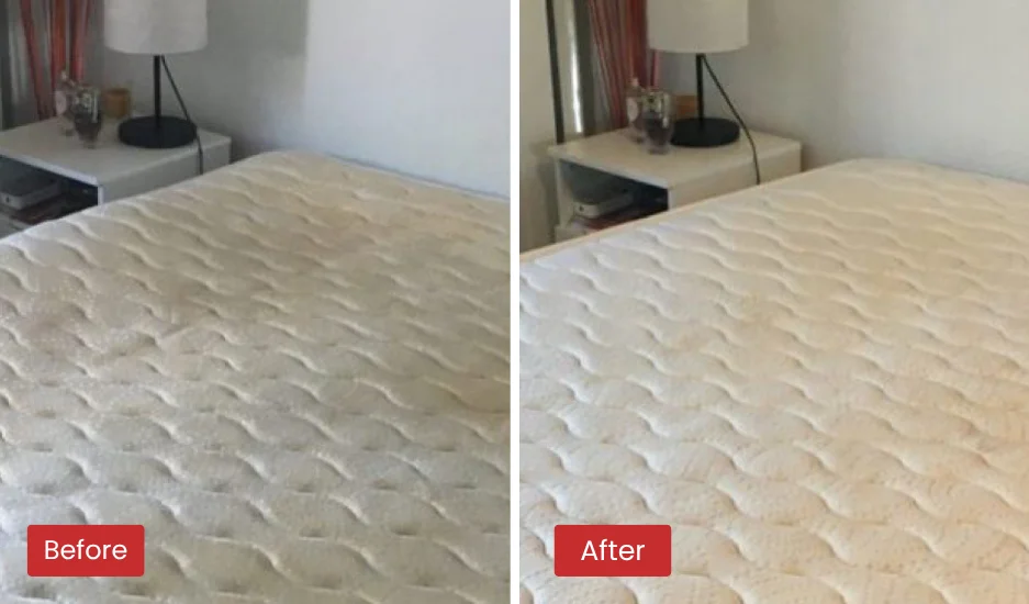 Mattress Cleaning Before & After