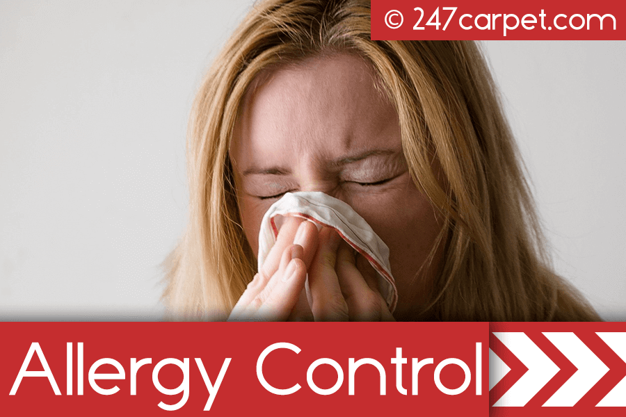 Allergy Control Cleaning Manhattan