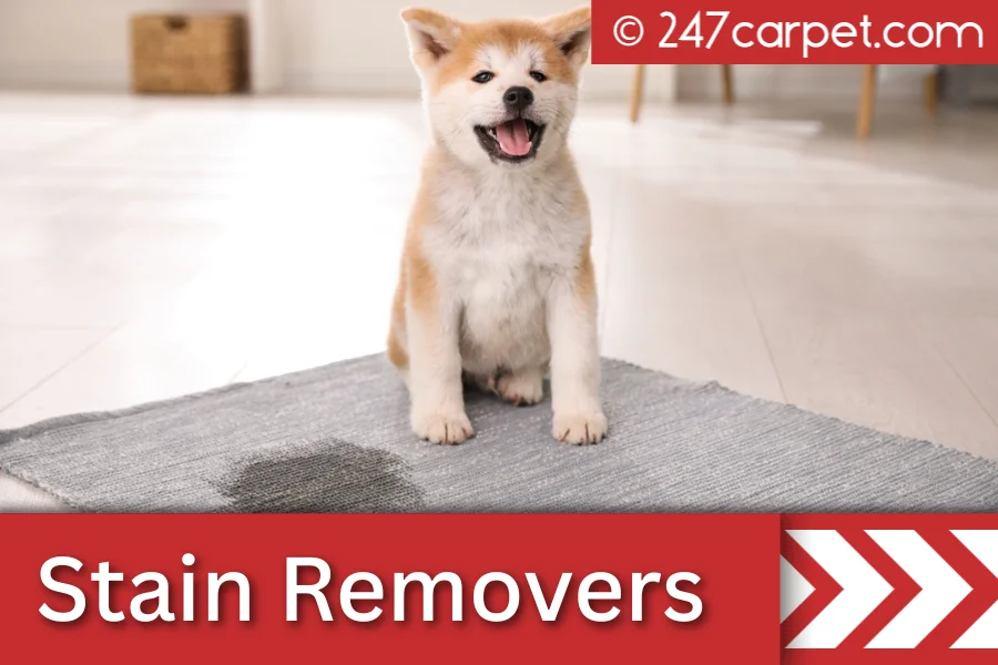 Best Carpet Stain Removers in New York An Ultimate Guide For Locals