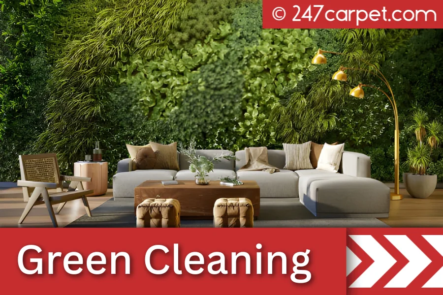 Is Eco Friendly Rug Cleaning Still Possible in 2026 A Guide To Answer Your Curiosity